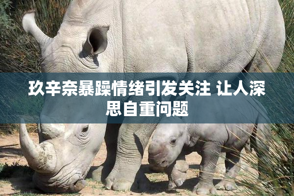 玖辛奈暴躁情绪引发关注 让人深思自重问题
