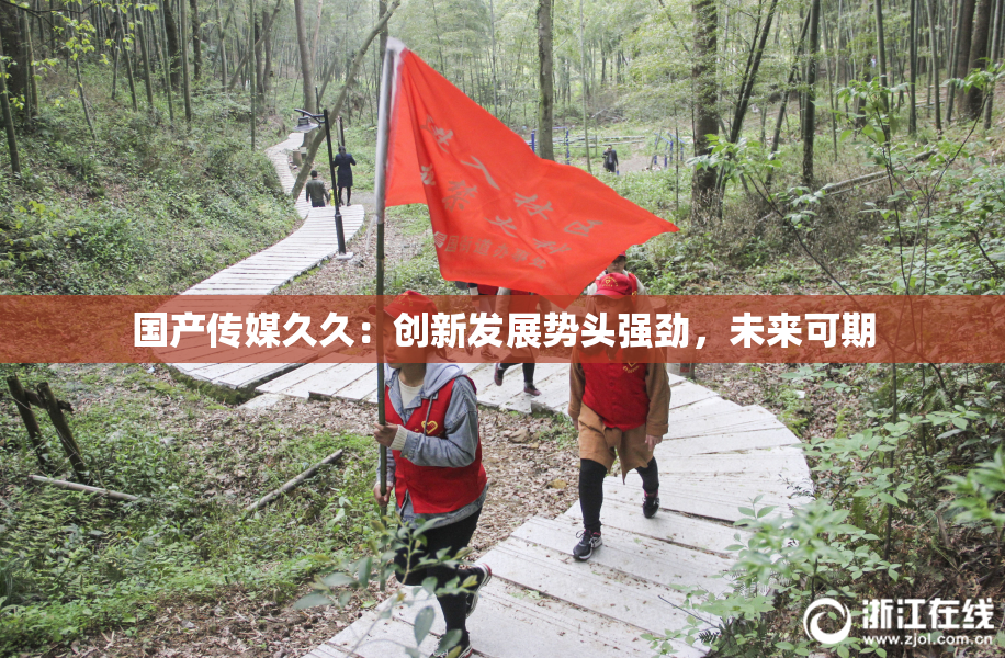 国产传媒久久：创新发展势头强劲，未来可期