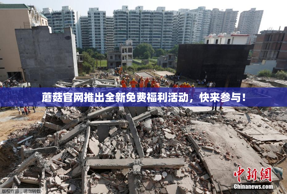 蘑菇官网推出全新免费福利活动，快来参与！