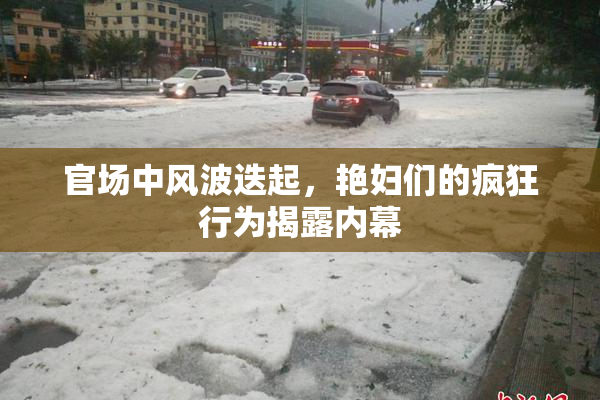 官场中风波迭起，艳妇们的疯狂行为揭露内幕