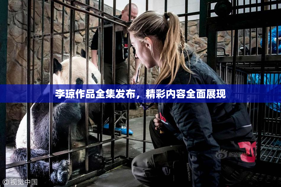 李琼作品全集发布，精彩内容全面展现
