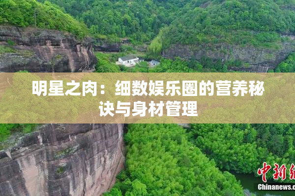 明星之肉：细数娱乐圈的营养秘诀与身材管理