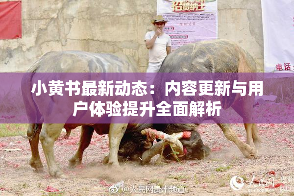小黄书最新动态：内容更新与用户体验提升全面解析