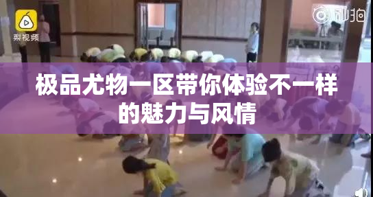 极品尤物一区带你体验不一样的魅力与风情