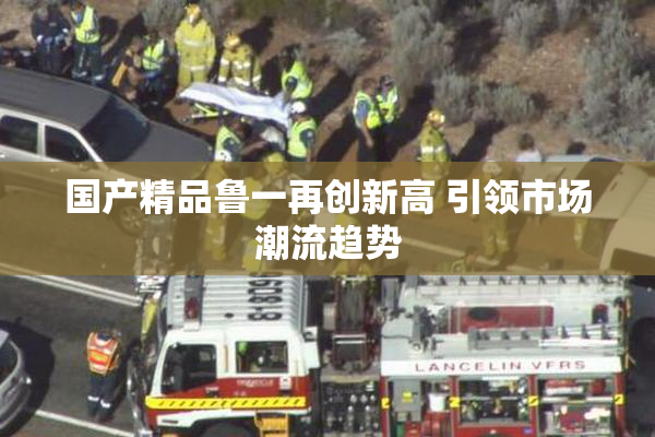 国产精品鲁一再创新高 引领市场潮流趋势