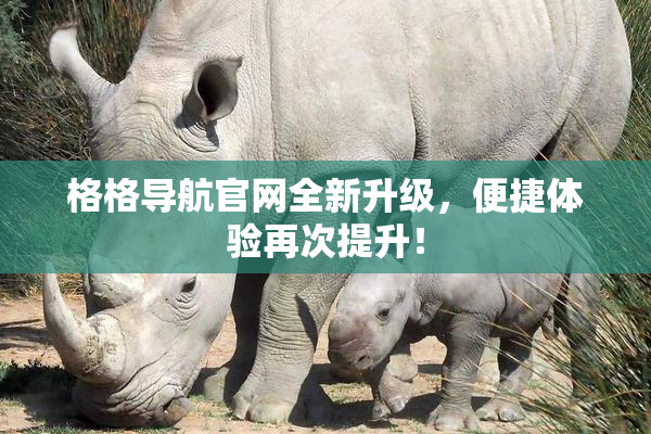 格格导航官网全新升级，便捷体验再次提升！