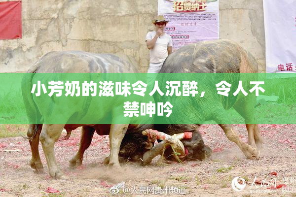 小芳奶的滋味令人沉醉，令人不禁呻吟