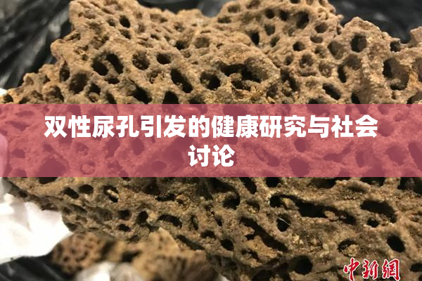 双性尿孔引发的健康研究与社会讨论