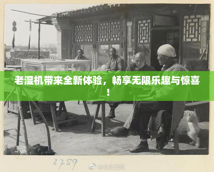 老湿机带来全新体验，畅享无限乐趣与惊喜！
