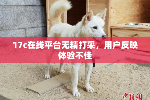 17c在线平台无精打采，用户反映体验不佳
