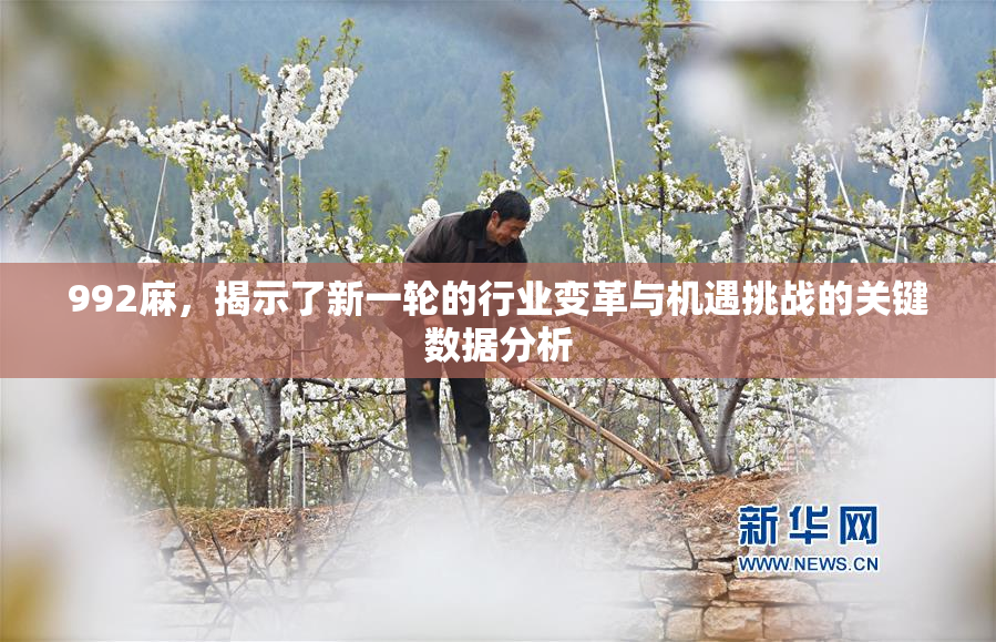 992麻，揭示了新一轮的行业变革与机遇挑战的关键数据分析
