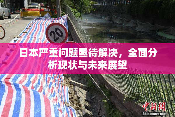 日本严重问题亟待解决，全面分析现状与未来展望