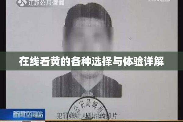 在线看黄的各种选择与体验详解