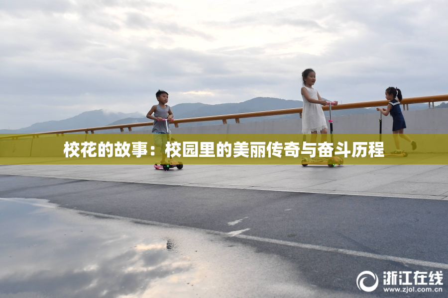 校花的故事：校园里的美丽传奇与奋斗历程