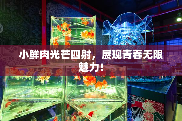 小鲜肉光芒四射，展现青春无限魅力！
