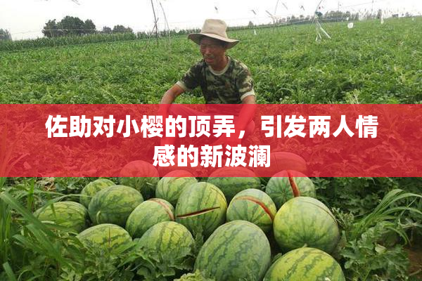 佐助对小樱的顶弄，引发两人情感的新波澜