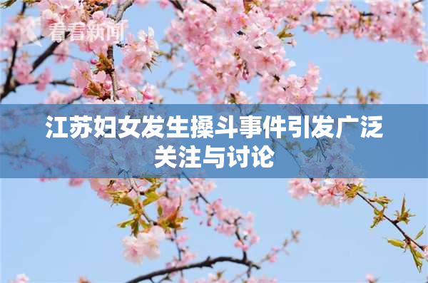 江苏妇女发生搡斗事件引发广泛关注与讨论