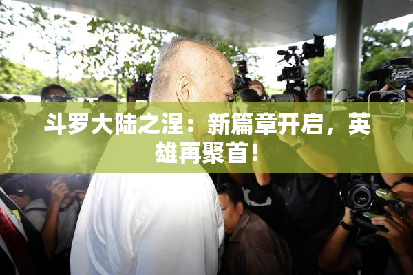 斗罗大陆之涅：新篇章开启，英雄再聚首！