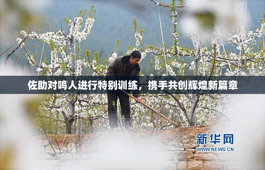 佐助对鸣人进行特别训练，携手共创辉煌新篇章