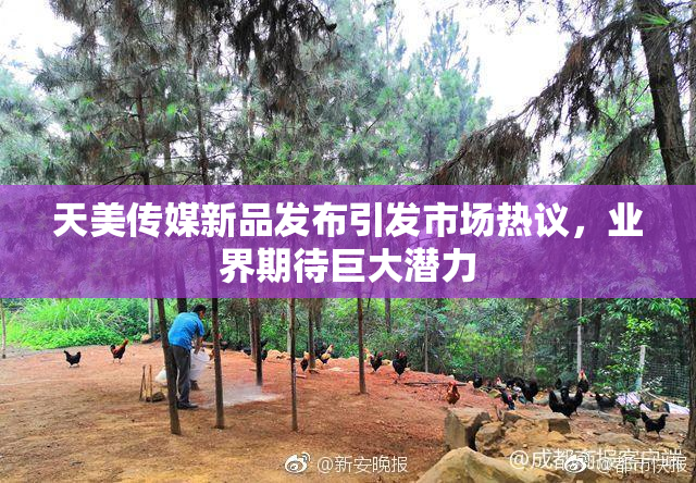 天美传媒新品发布引发市场热议，业界期待巨大潜力