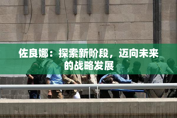 佐良娜：探索新阶段，迈向未来的战略发展
