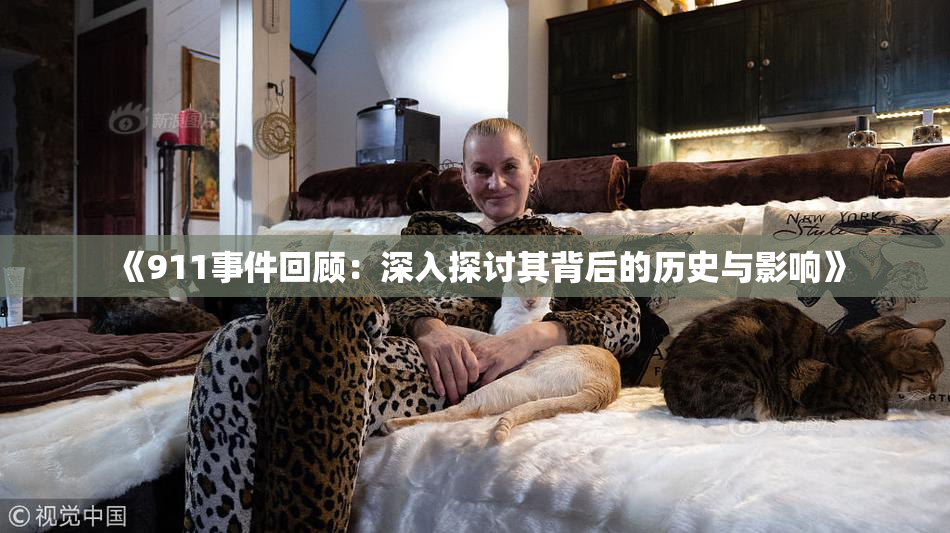 《911事件回顾：深入探讨其背后的历史与影响》