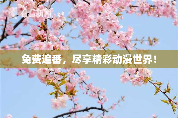免费追番，尽享精彩动漫世界！