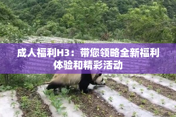 成人福利H3：带您领略全新福利体验和精彩活动