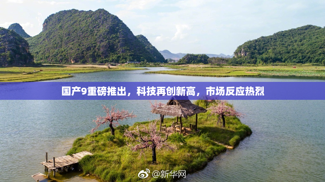 国产9重磅推出，科技再创新高，市场反应热烈