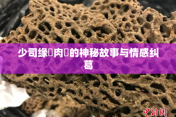 少司缘婬肉泬的神秘故事与情感纠葛