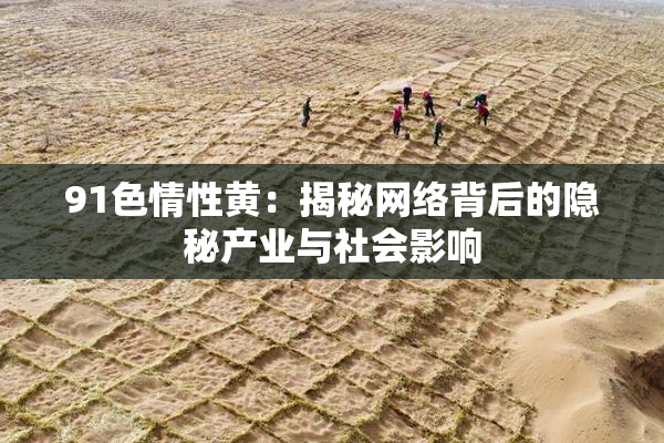 91色情性黄：揭秘网络背后的隐秘产业与社会影响