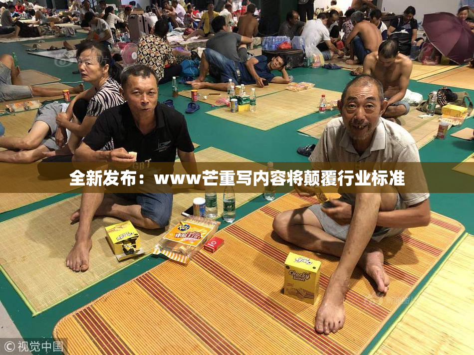 全新发布：www芒重写内容将颠覆行业标准