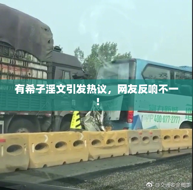 有希子淫文引发热议，网友反响不一！