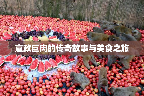 嬴政巨肉的传奇故事与美食之旅