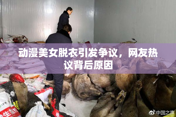 动漫美女脱衣引发争议，网友热议背后原因