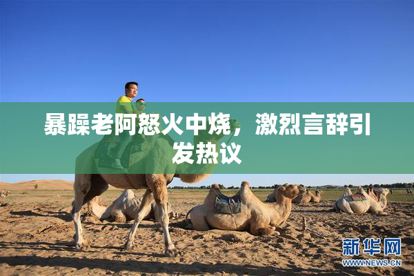 暴躁老阿怒火中烧，激烈言辞引发热议
