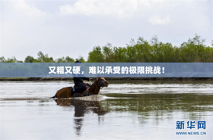 又粗又硬，难以承受的极限挑战！