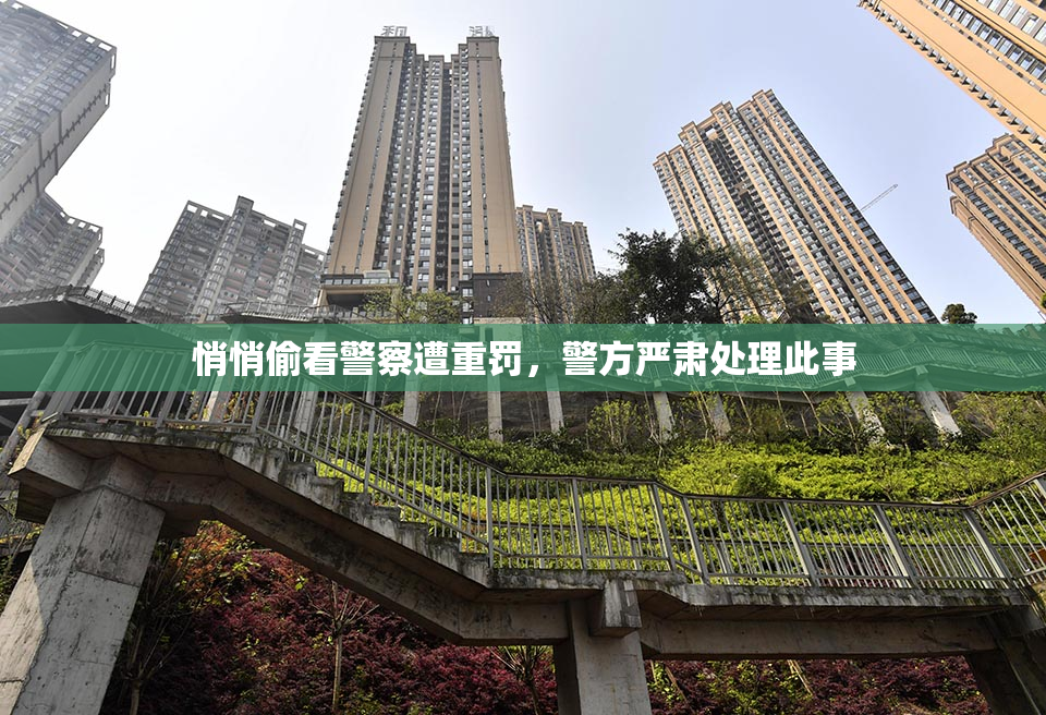 悄悄偷看警察遭重罚，警方严肃处理此事