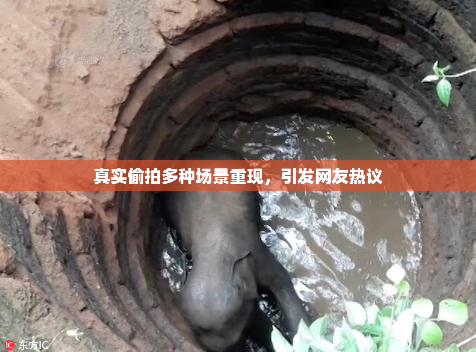 真实偷拍多种场景重现，引发网友热议