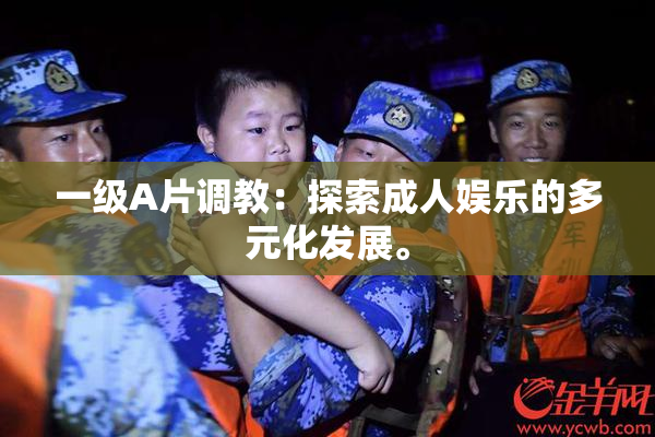 一级A片调教：探索成人娱乐的多元化发展。