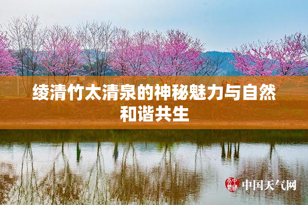 绫清竹太清泉的神秘魅力与自然和谐共生