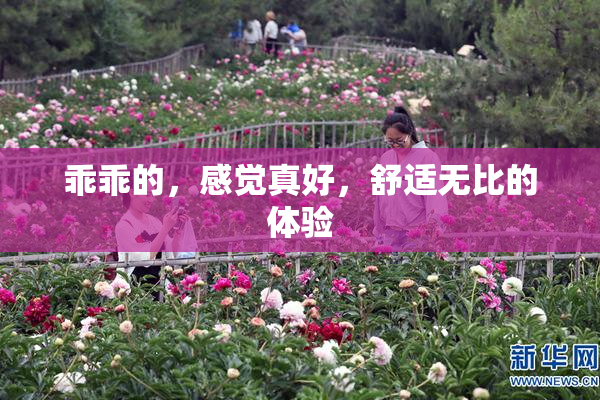 乖乖的，感觉真好，舒适无比的体验