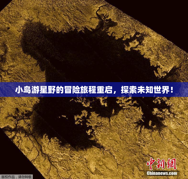 小鸟游星野的冒险旅程重启，探索未知世界！