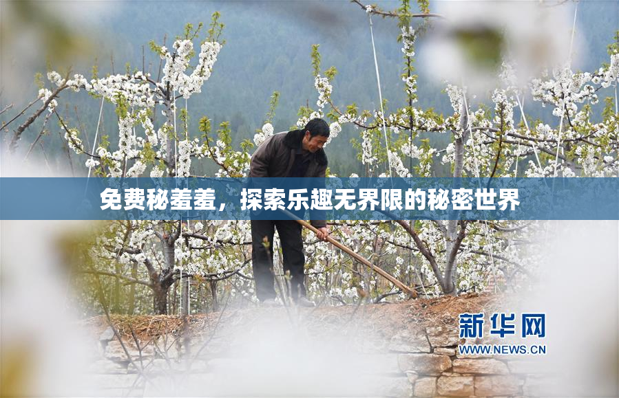 免费秘羞羞，探索乐趣无界限的秘密世界