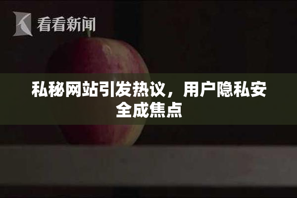 私秘网站引发热议，用户隐私安全成焦点