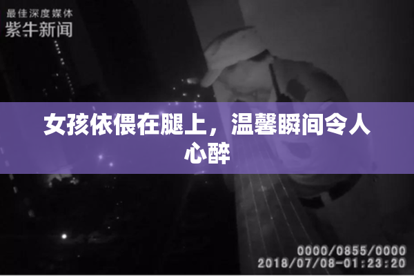 女孩依偎在腿上，温馨瞬间令人心醉