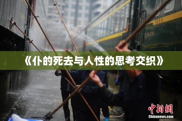 《仆的死去与人性的思考交织》