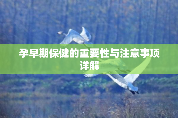 孕早期保健的重要性与注意事项详解