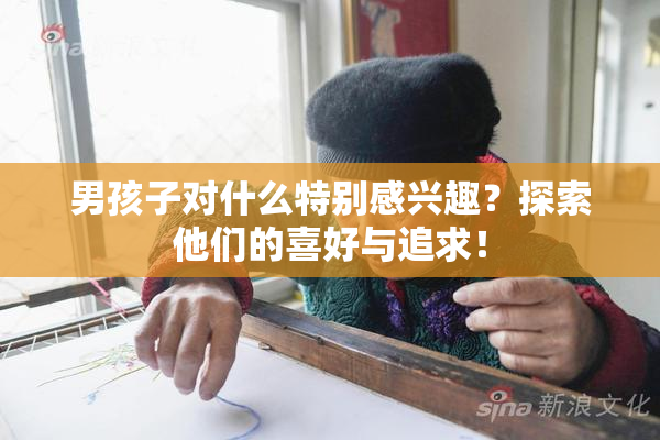 男孩子对什么特别感兴趣？探索他们的喜好与追求！