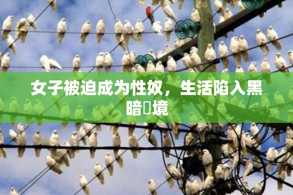 女子被迫成为性奴，生活陷入黑暗囧境